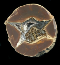 Fred's bed Thundereggs